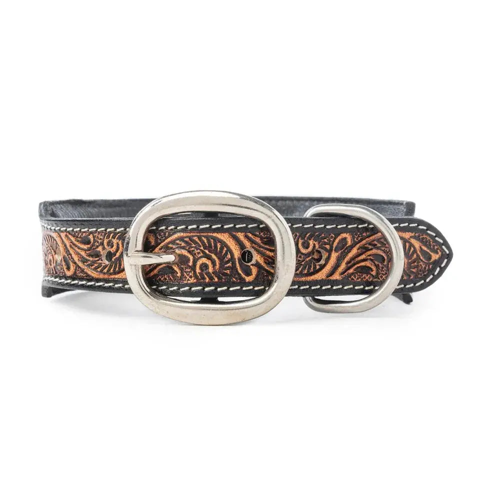 Turquoise Trail Cowboy Dog Collar In Black Dog