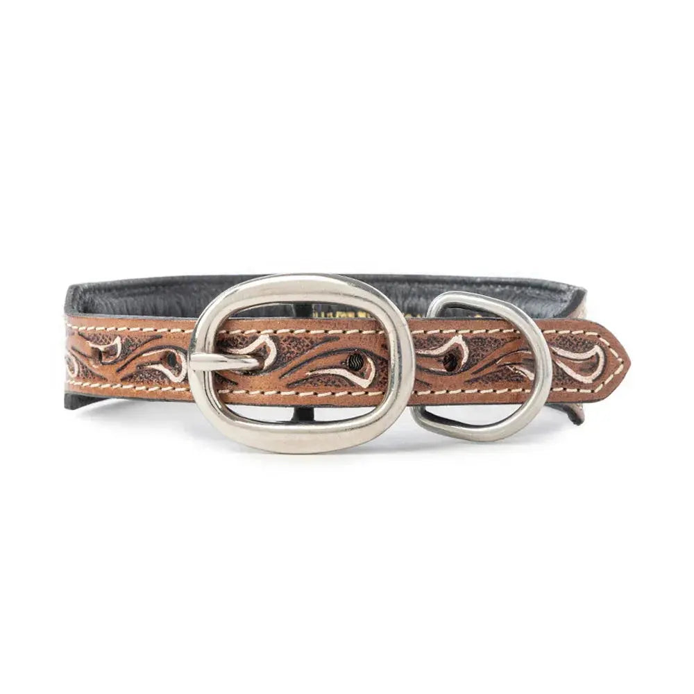 Prairie Sunflower Trail Dog Collar In Sandstone Dog