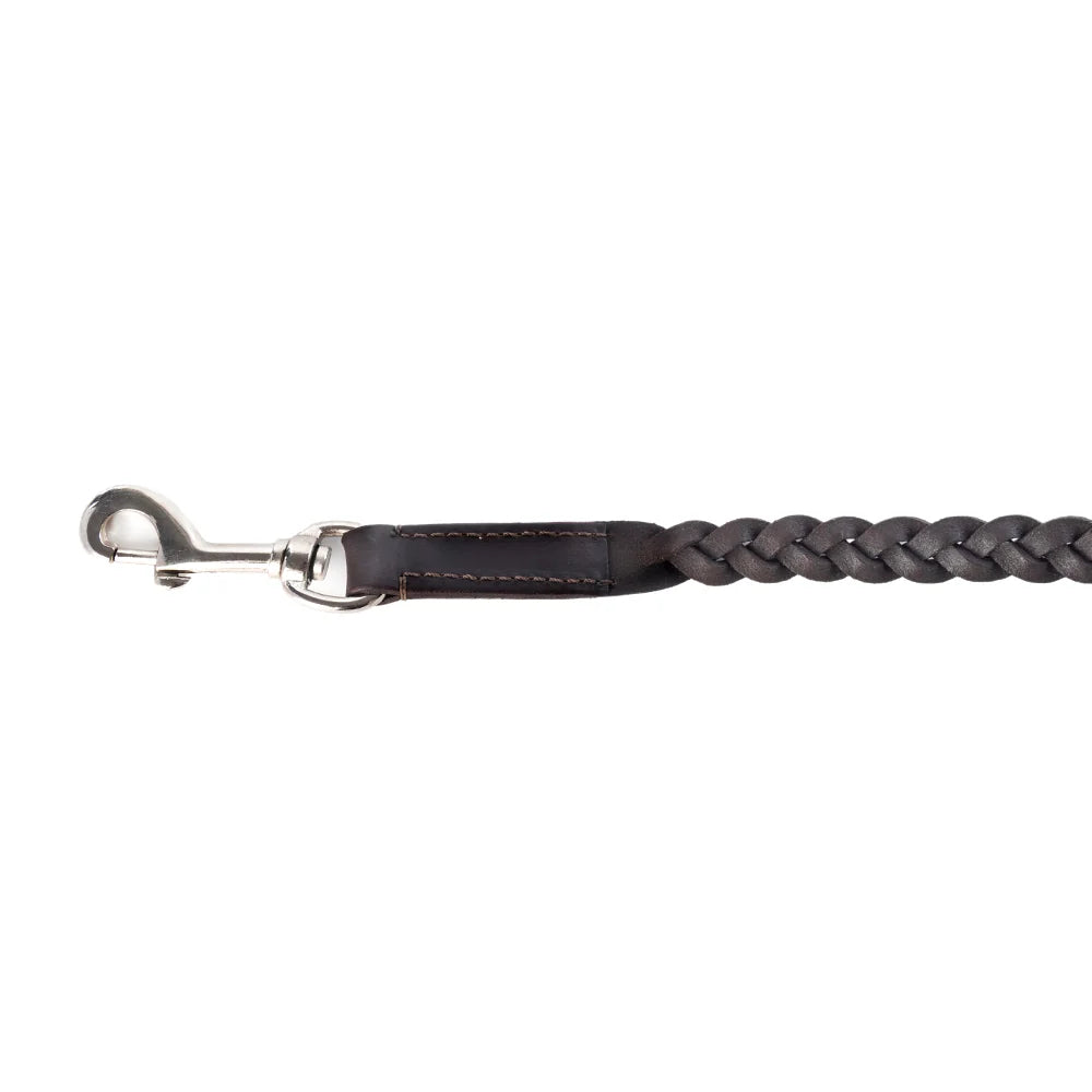 Trailbound Leather Dog Leash In Rustic Brown With Braided Design And Metal Hook
