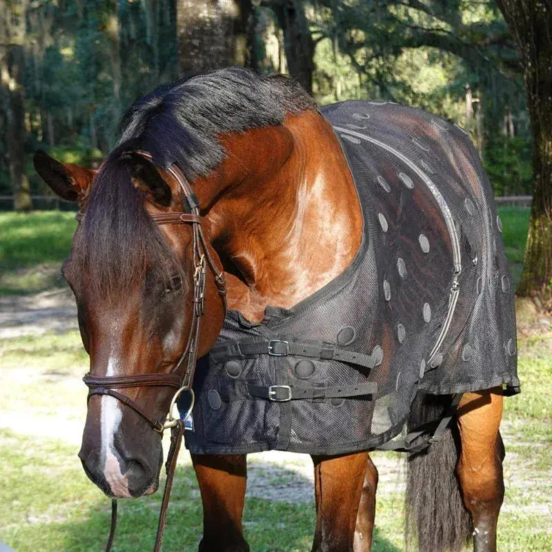 Black mesh BeneFab Rejuvenate SmartScrim MINI horse fly sheet with ventilation holes