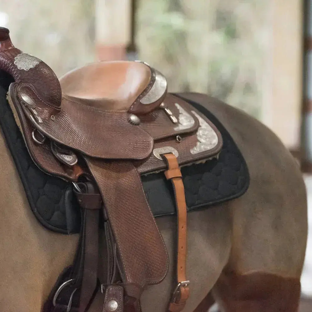 *NEW* Benefab THERAPEUTIC WESTERN PAD-Black Horse