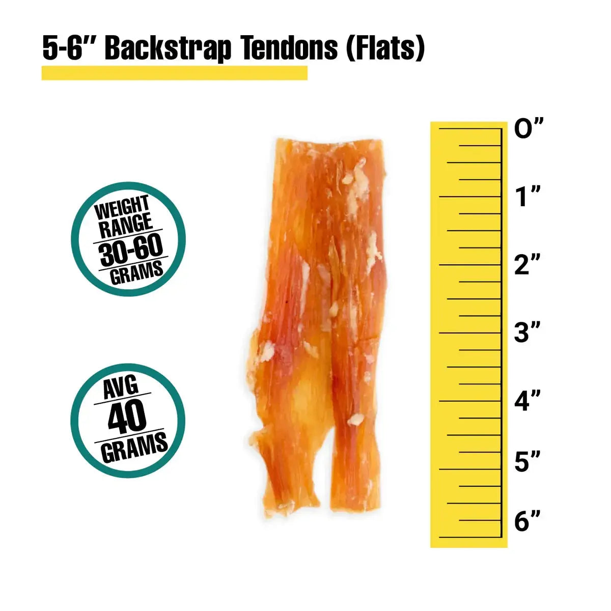 5-6'' Backstrap Tendons (Flats) Dog