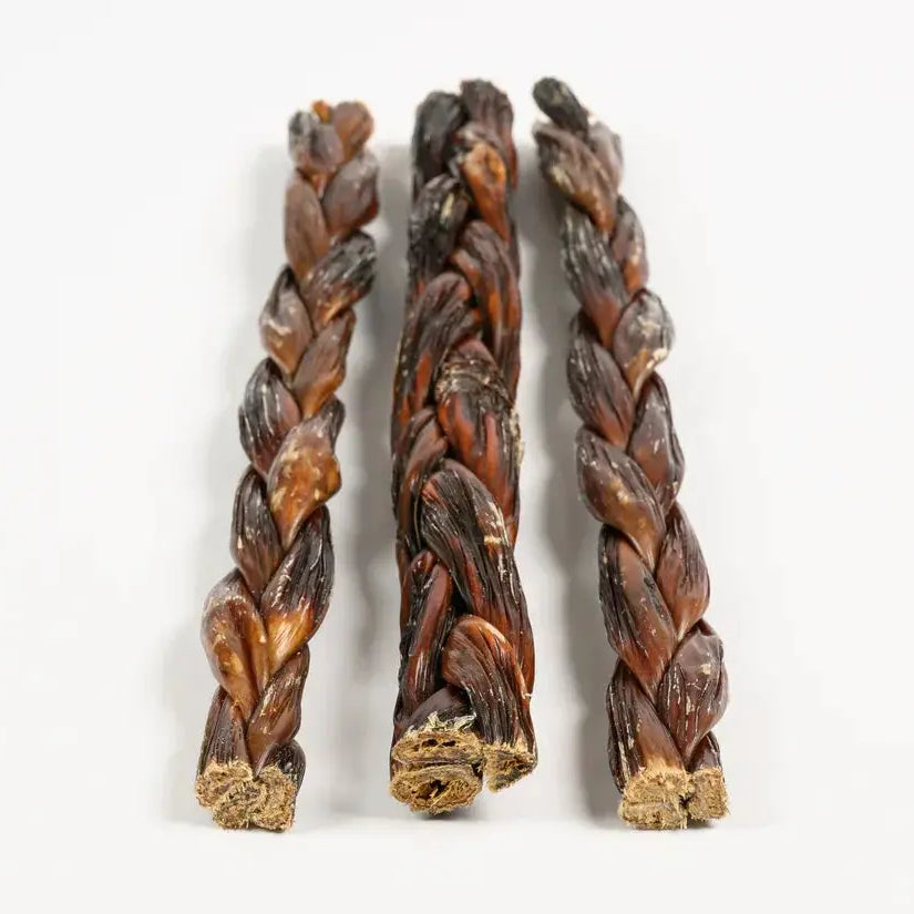 12" Braided Gullet Sticks Dog Treats
