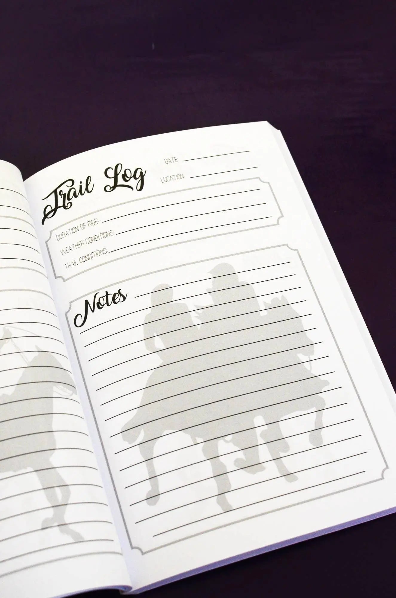 The Trail Rider's Journal Horse