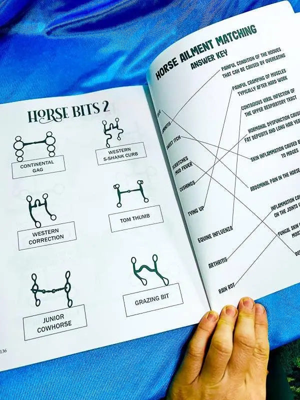 Intermediate Rider Lesson Plan