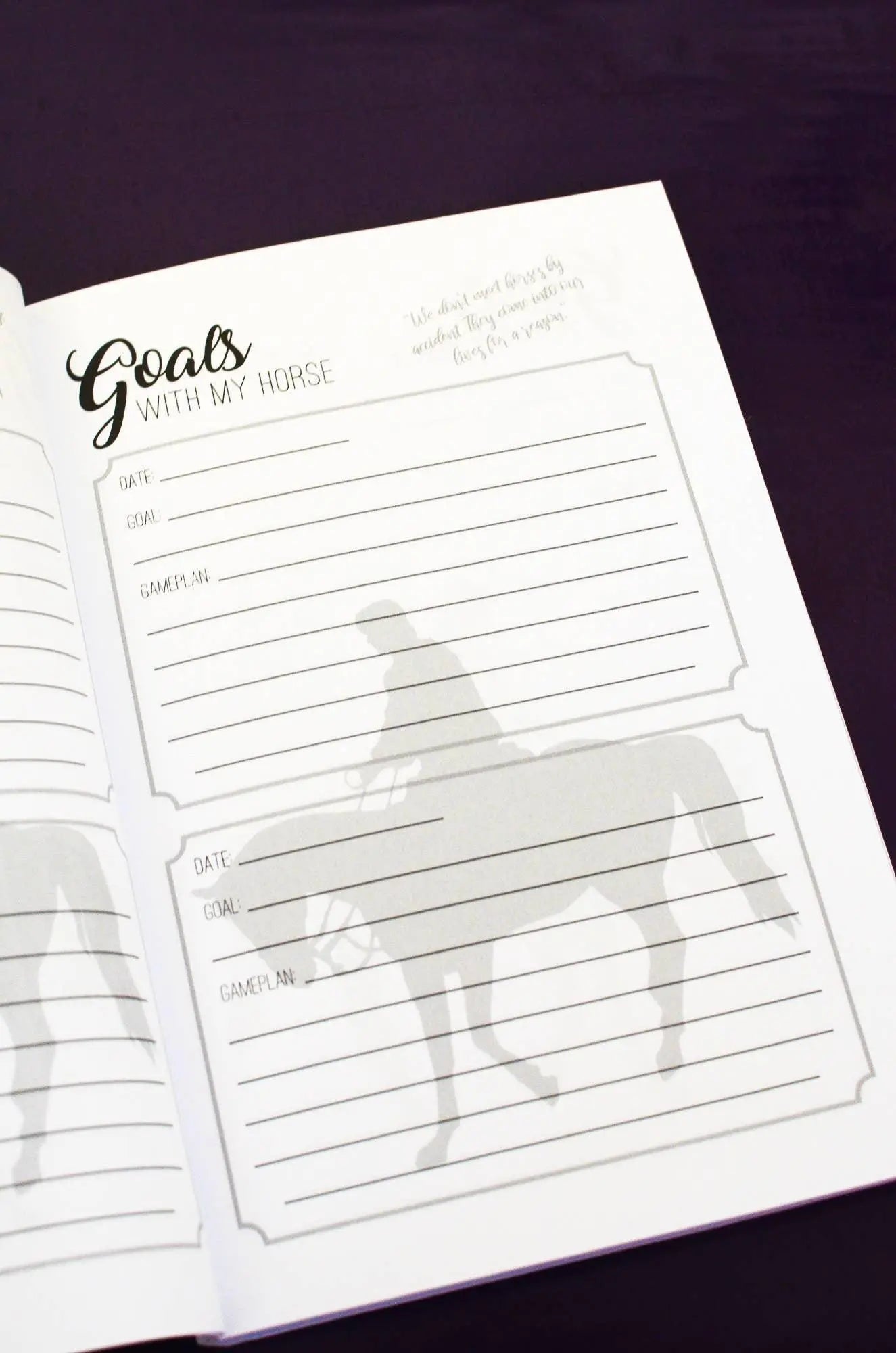The Trail Rider's Journal Horse