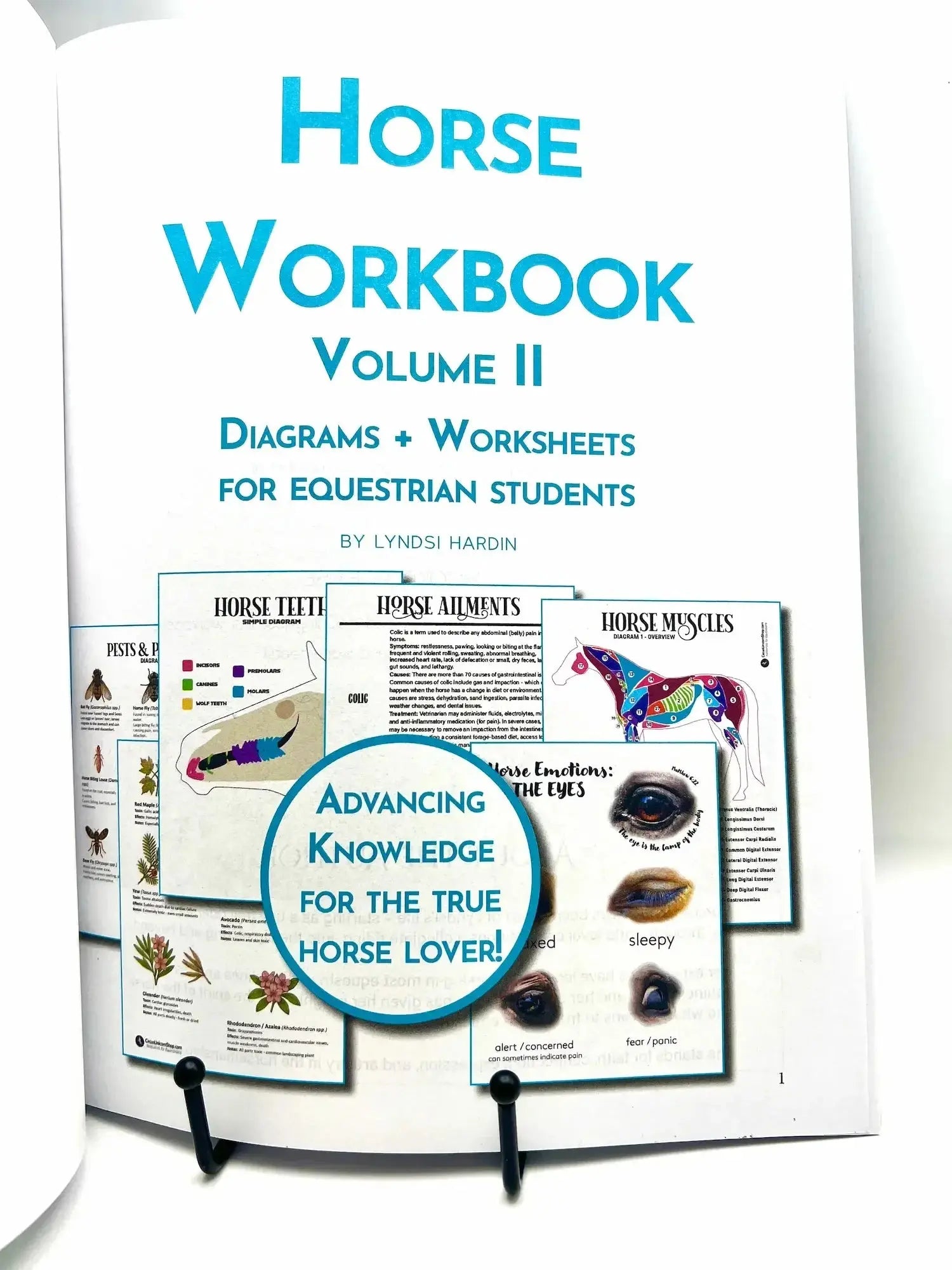 Horse Workbook Vol. II inside
