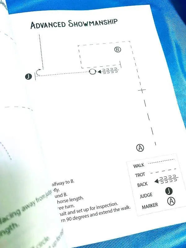 The Book of Horse Show Patterns Horse