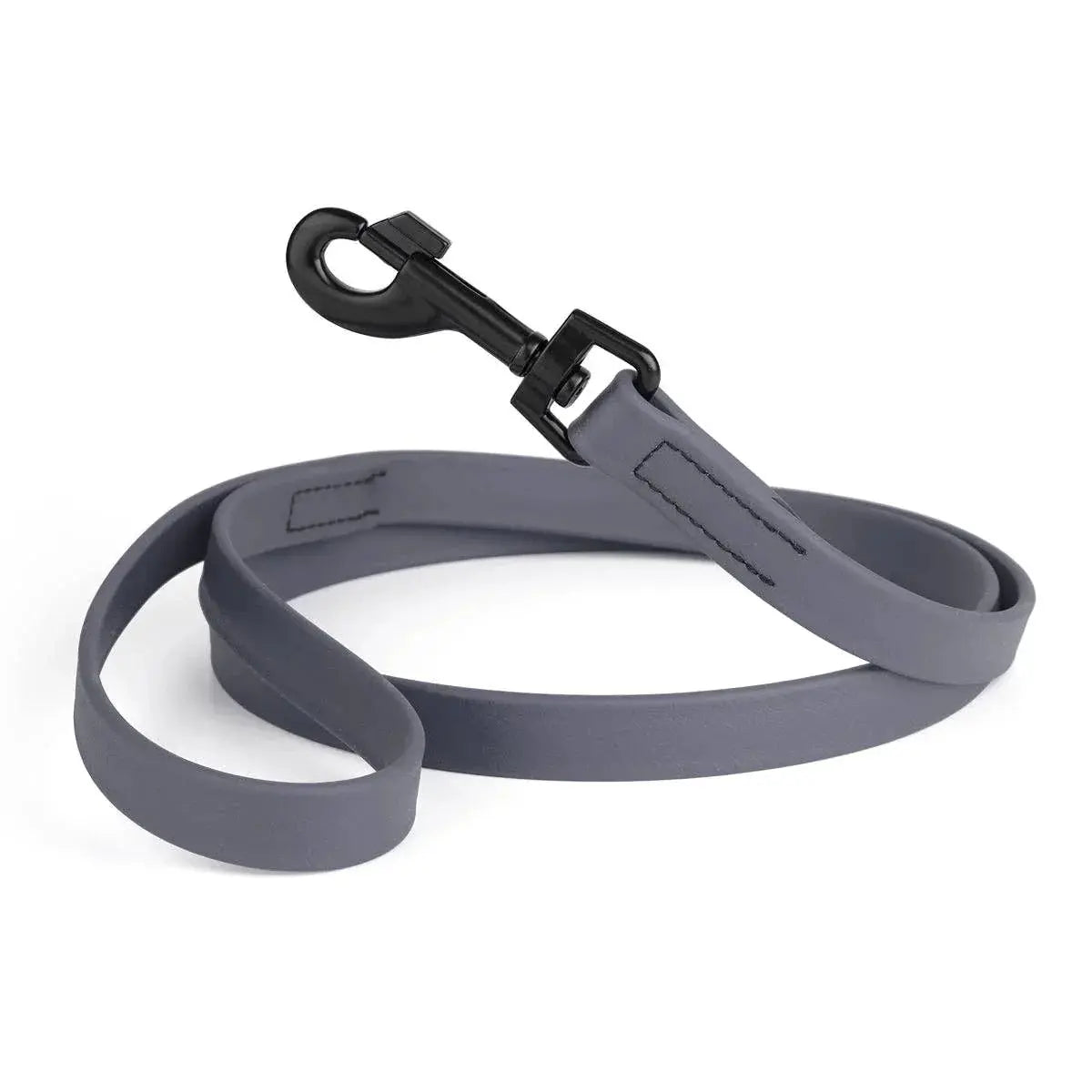 Biothane Waterproof Leash Dog
