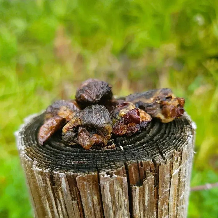 Dehydrated Chicken Hearts