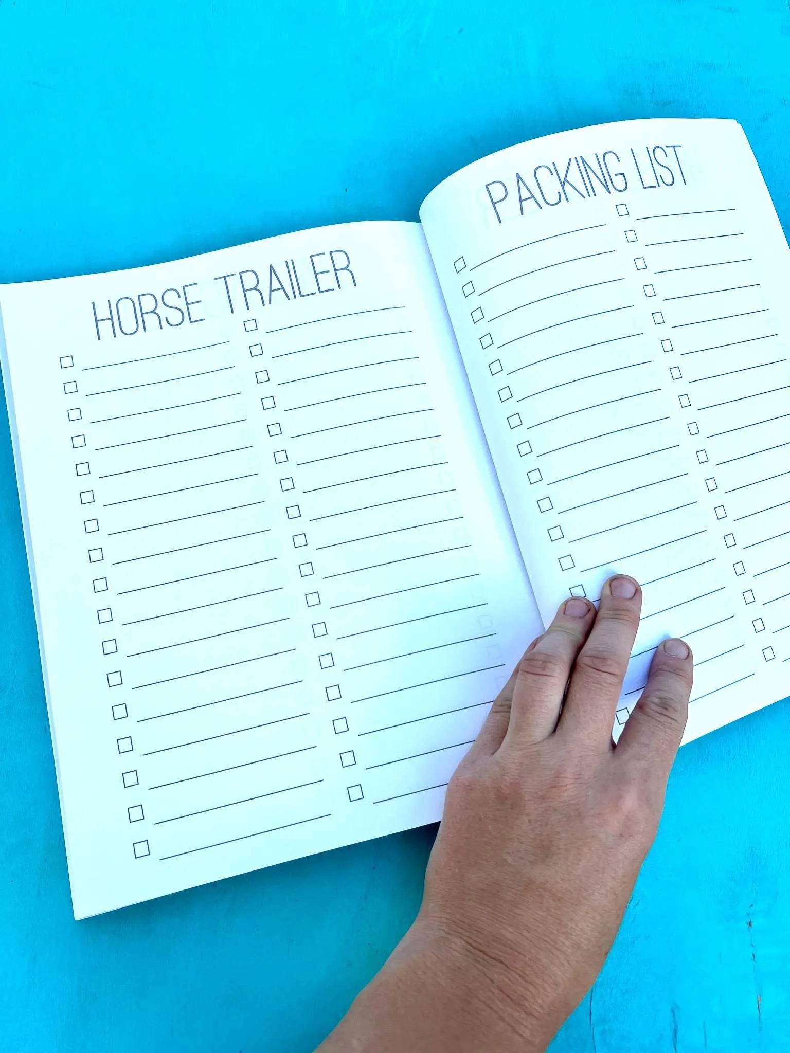 The Horse Trainer's Log Book (The BIG Version)