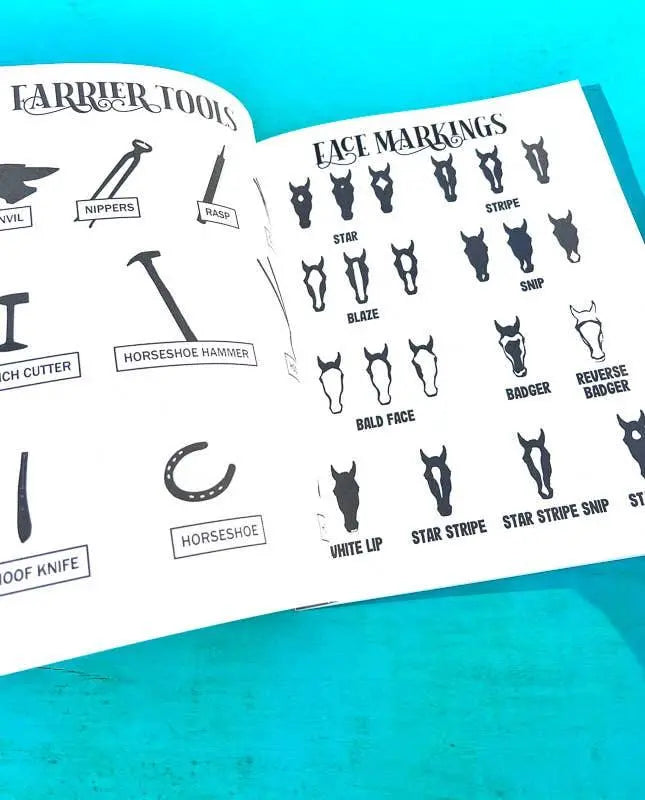 The Book of Equestrian Diagrams & Worksheets Horse