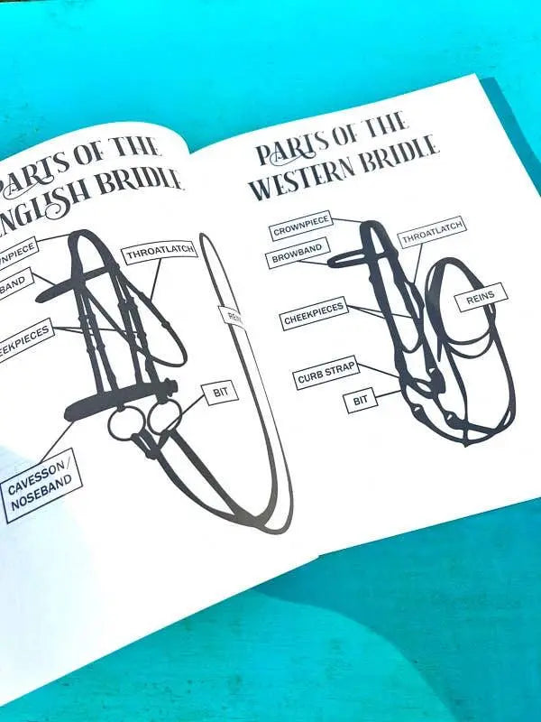 The Riding Student's Horse Workbook Horse