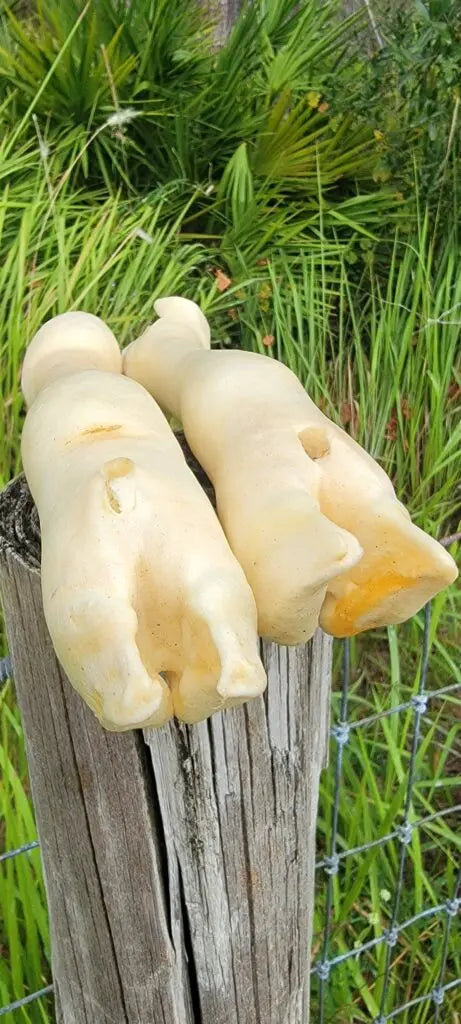 Lamb Feet Dog Treats