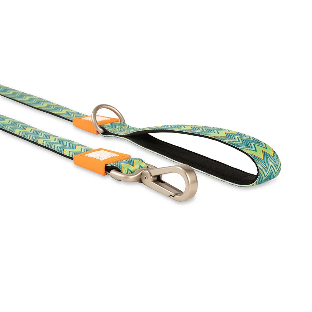 Max & Molly Vintage Leash 4ft Leash