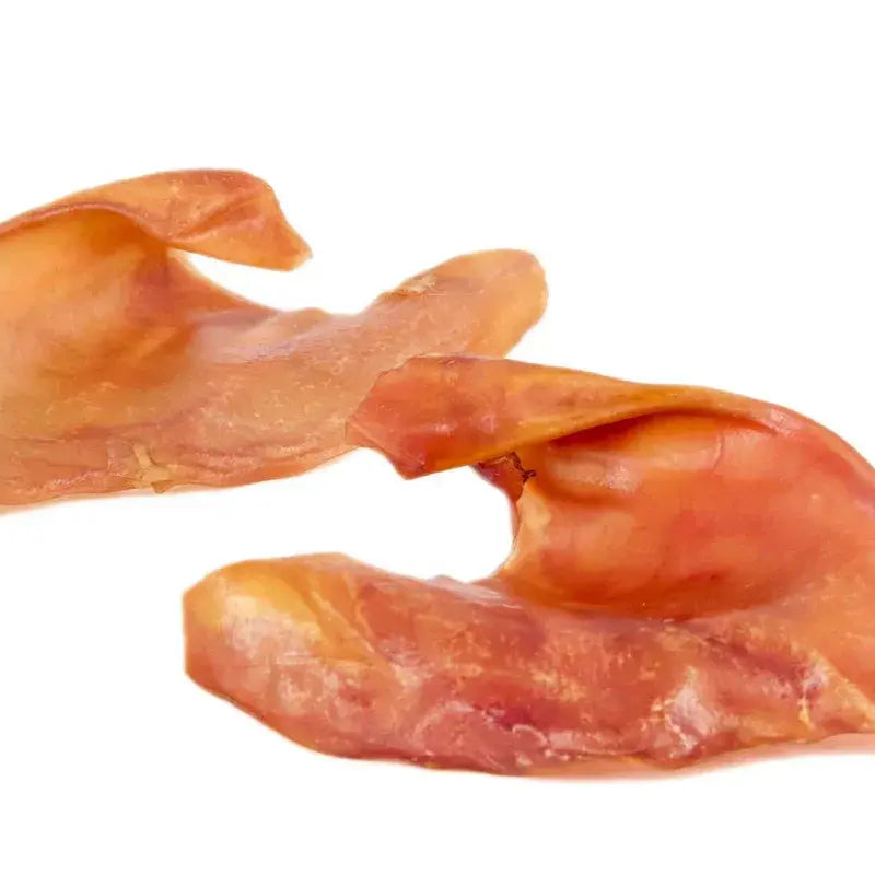 Pig Ear Chews Dog