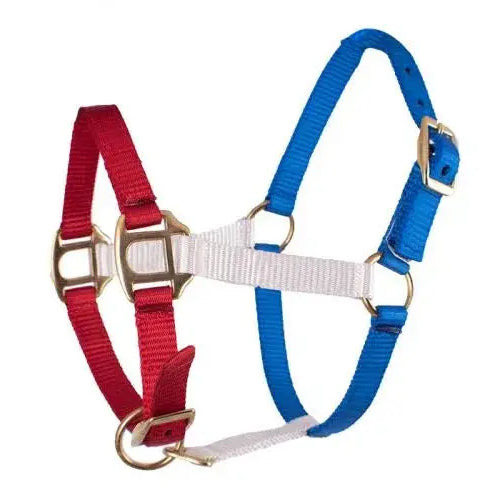 Red, White, and Blue nylon halter with brass hardware- Mini / Foal Size Horse Tack