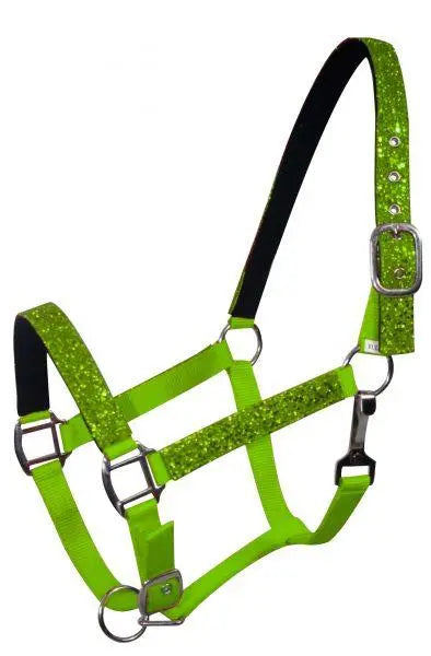 Average horse size nylon halter with neoprene lined nose and crown.
