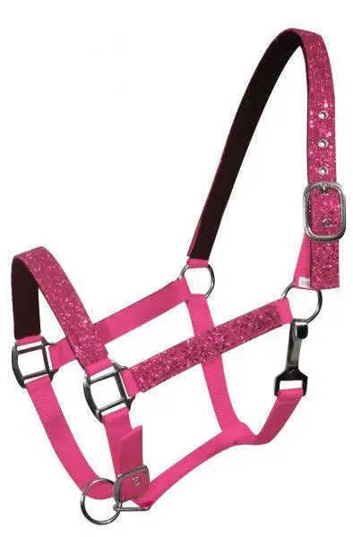 Average horse size nylon halter with neoprene lined nose and crown.