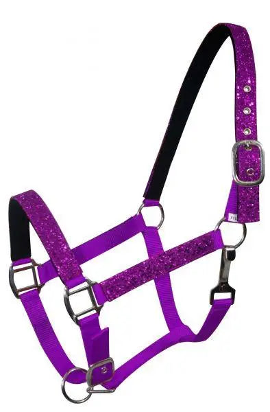 Average horse size nylon halter with neoprene lined nose and crown.