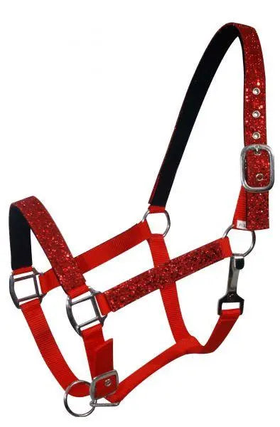 Average horse size nylon halter with neoprene lined nose and crown.