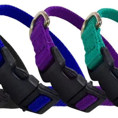 Nylon Dog Collar with Snap Buckle Dog