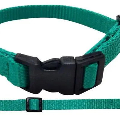 Nylon Dog Collar with Snap Buckle Dog