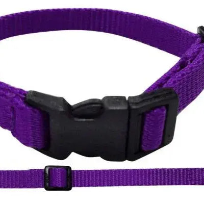 Nylon Dog Collar with Snap Buckle Dog