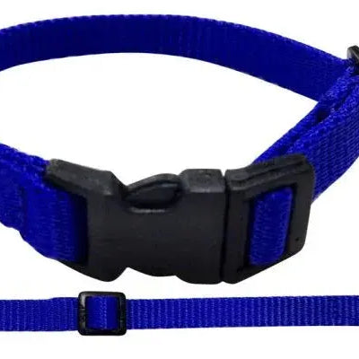 Nylon Dog Collar with Snap Buckle Dog