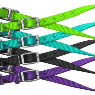 Bright nylon wither strap with colorful leashes, silver buckles and hooks
