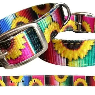 Serape & Sunflower designed nylon dog collar Dog