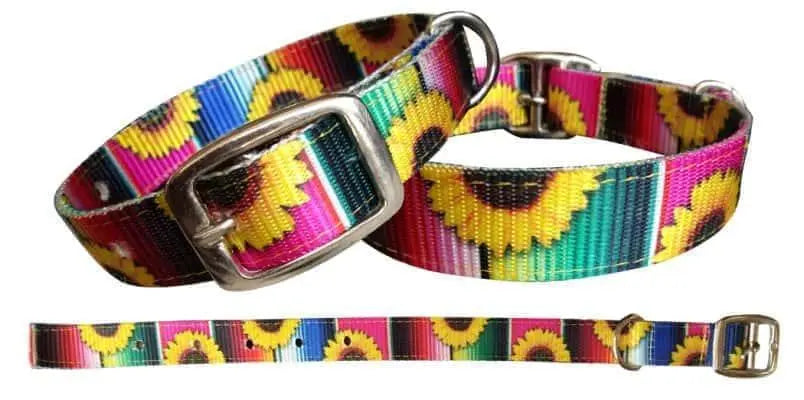 Serape & Sunflower designed nylon dog collar Dog