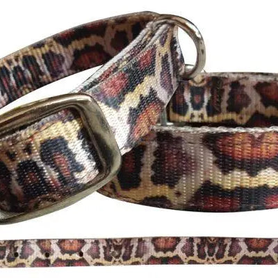 Python designed nylon dog collar Dog
