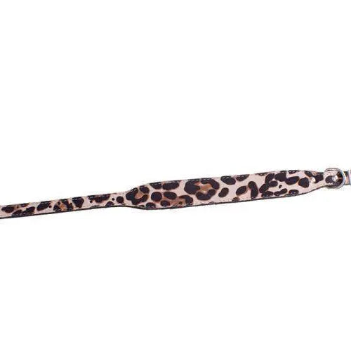 Leather Dog Collar Leopard Print Dog