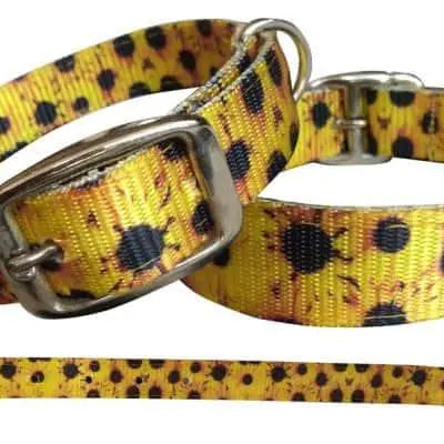 Sunflower designed nylon dog collar Dog