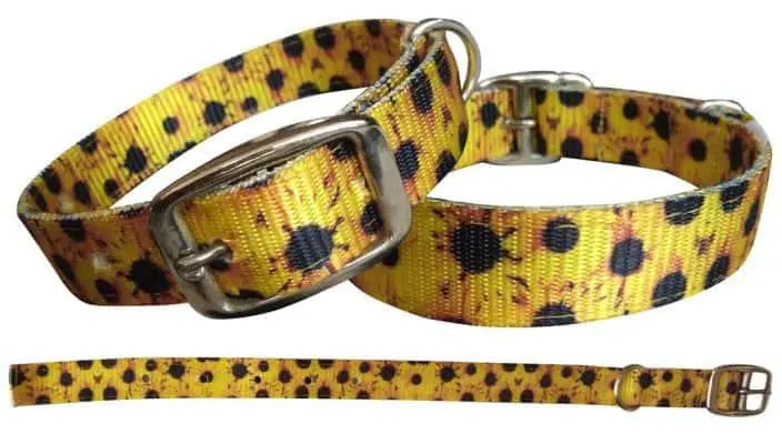 Sunflower designed nylon dog collar Dog