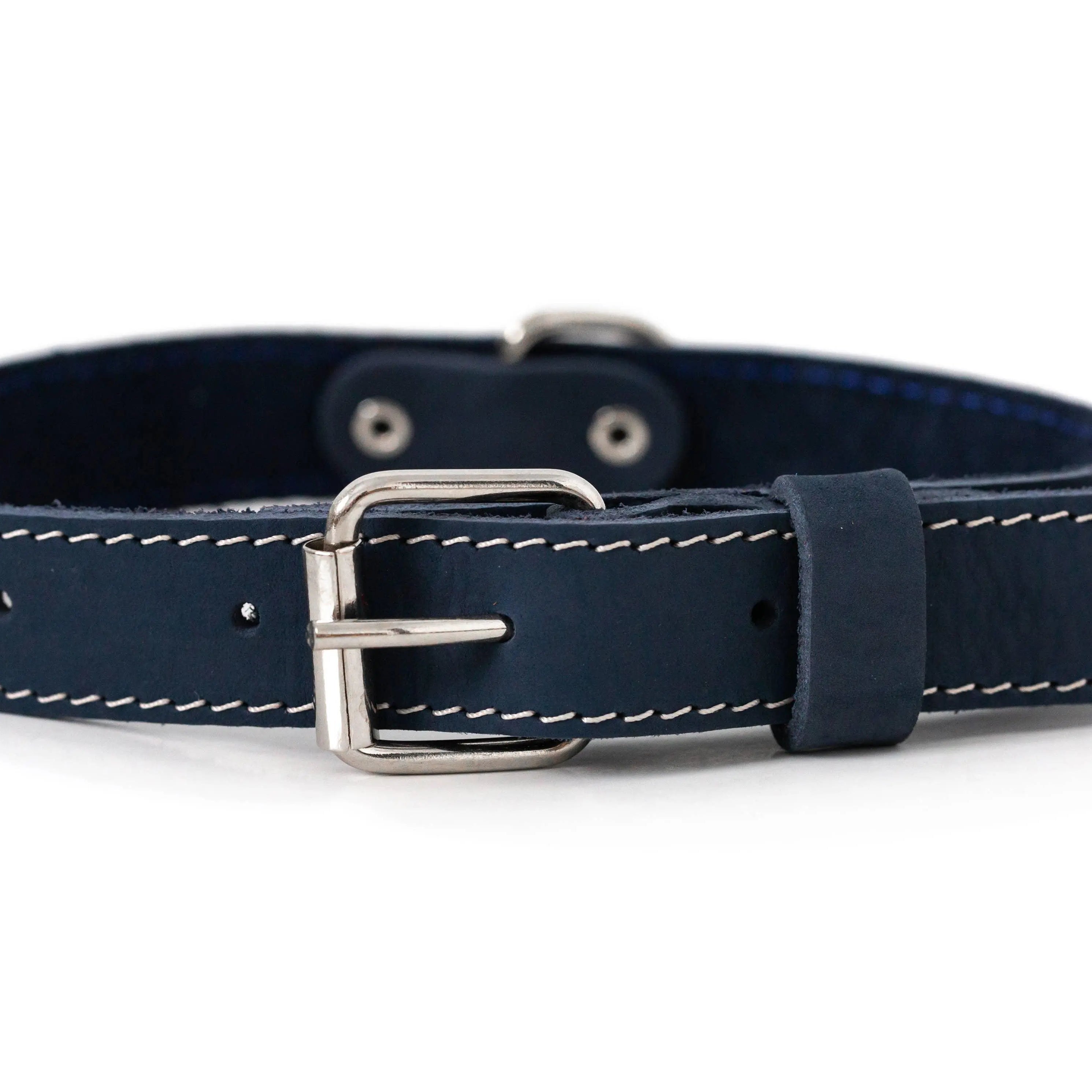 Euro-Dog Collar - Navy Dog