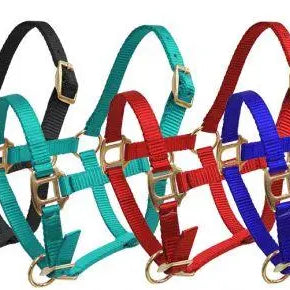 Foal mini premium nylon halters in black teal red blue with brass hardware