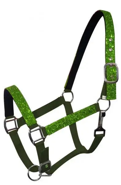 Average horse size nylon halter with neoprene lined nose and crown.