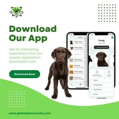 PET ID TAG Global Pet Security QR code Dog