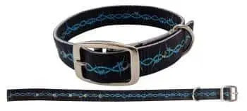 Black nylon dog collar with blue woven pattern, barbwire design and silver buckle