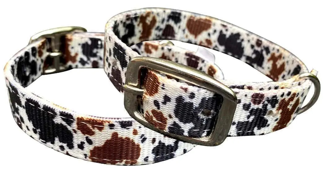 Cow print design nylon dog collar Dog