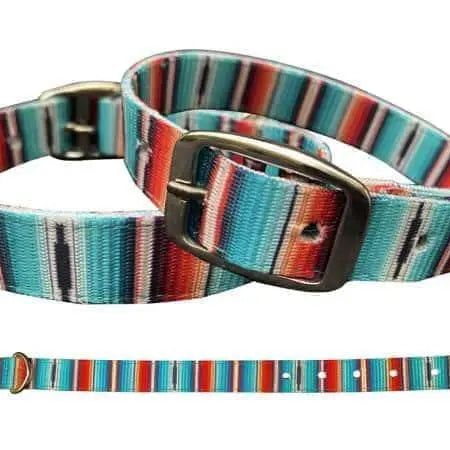 Teal Serape Southwest design nylon dog collar. Dog