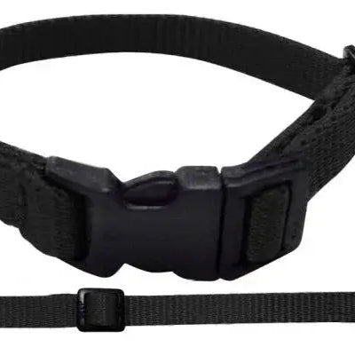 Nylon Dog Collar with Snap Buckle Dog