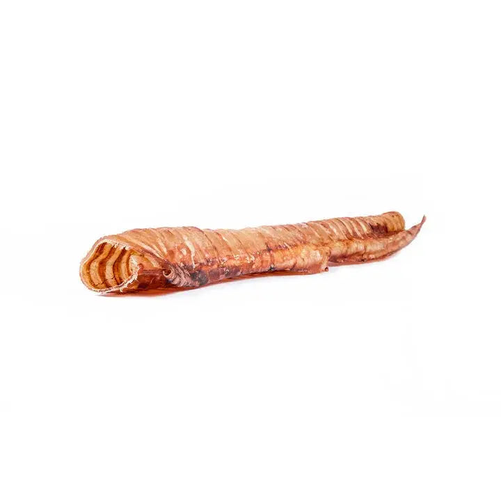 12-inch beef trachea dog chew, dried brownish-orange ribbed horn with curled end