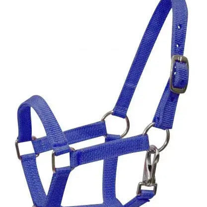 Nylon halter with nickel plated hardware and throat latch. Mini size. Horse