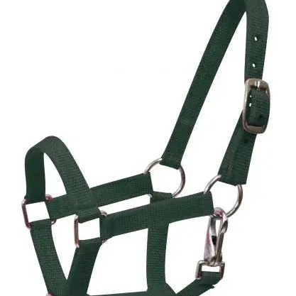 Nylon halter with nickel plated hardware and throat latch. Mini size. Horse