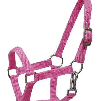 Nylon halter with nickel plated hardware and throat latch. Mini size. Horse