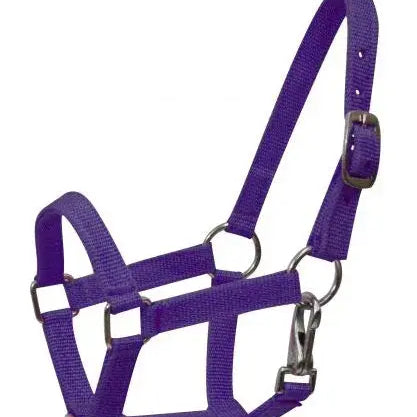 Nylon halter with nickel plated hardware and throat latch. Mini size. Horse