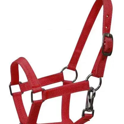 Nylon halter with nickel plated hardware and throat latch. Mini size. Horse